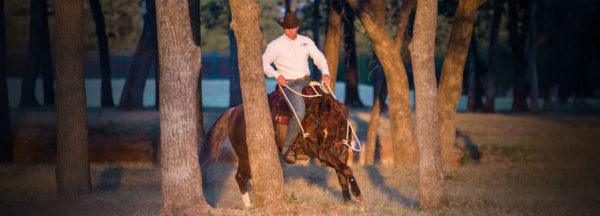 Clinton-Anderson_Fundamentals-Trail-Part-1