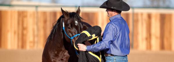 Blanketing-Made-Easy