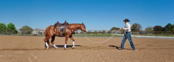 Dont-Expect-Immediate-Perfection