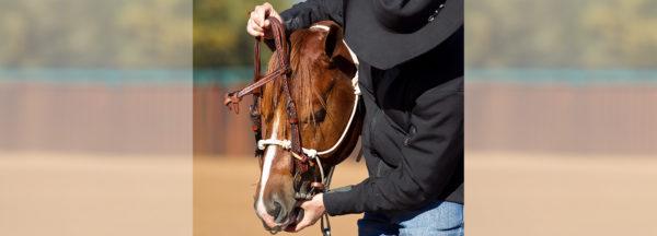 Introducing-the-Snaffle-Bit