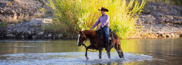 How-to-Find-the-Right-Discipline-for-a-Horse