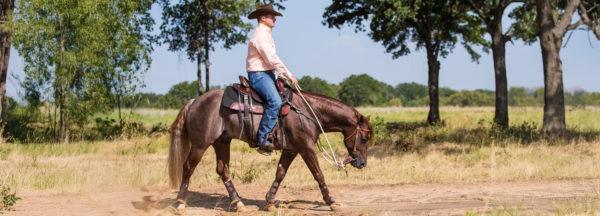 Stop-Your-Horse-from-Stumbling