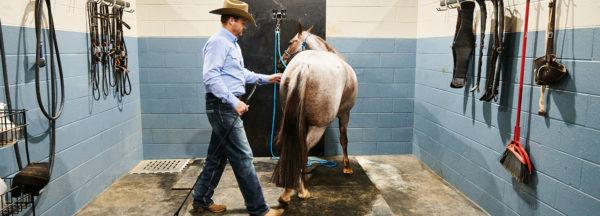 training-tip_move-horses-feet-in-saddle-bay