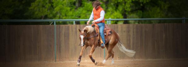handling-aggressive-horses