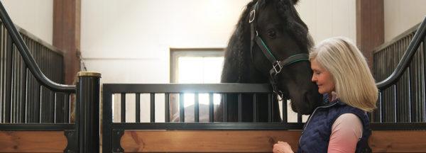 Classic-Equine-Equipment-Safety-Header